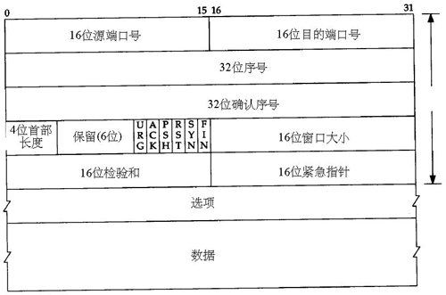 TCP:报头