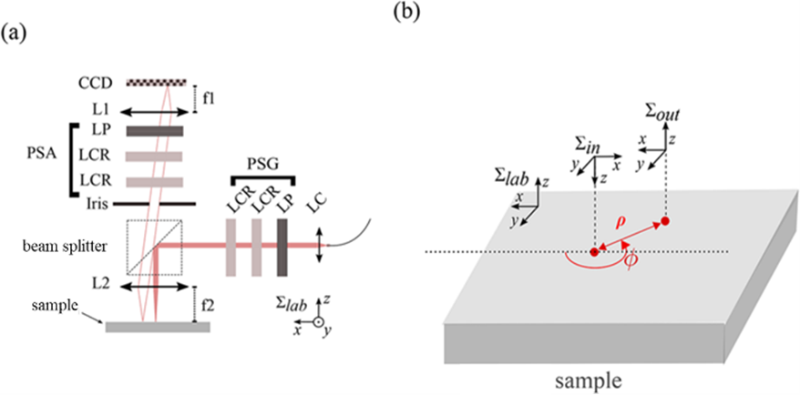 [原文] Application of Polarization Imaging Techniques in Brain Tumor ...