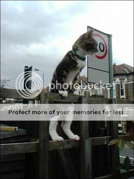 点击在新窗口中查看该图片