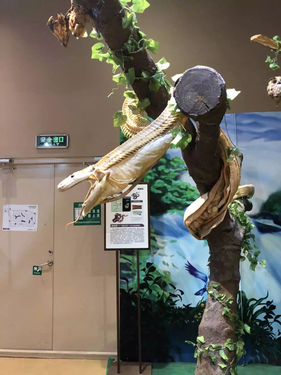 大连游记第一天