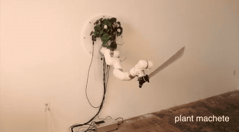 5ec99e10692f17647bfaa1aa6ee7eb42.gif