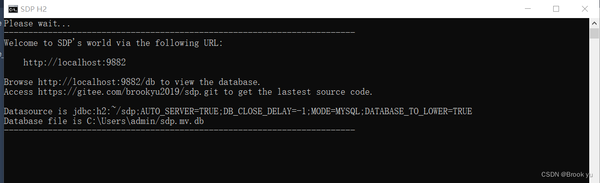 启动后的控制台输出