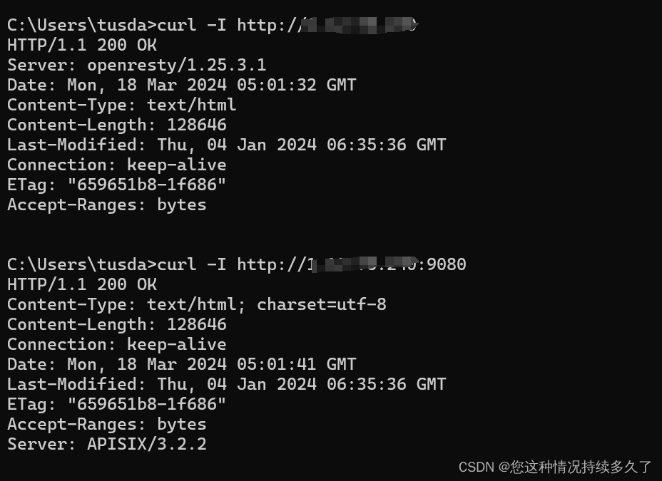 在Ubuntu上以源码方式部署Apache APISIX网关（使用腾讯云服务