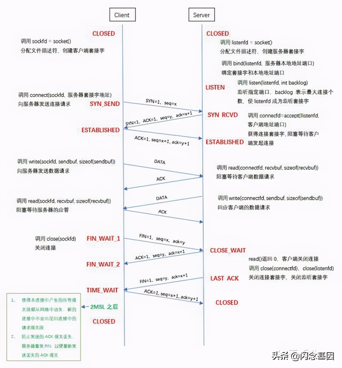 Linux C Socket 编程