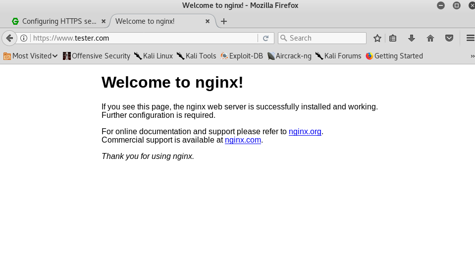 Nginx page