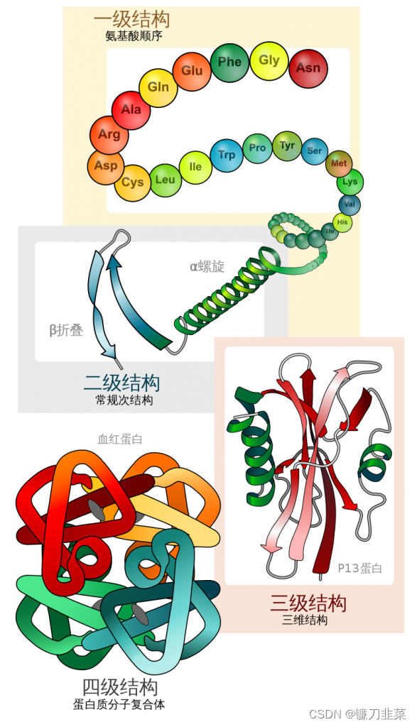 【化学信息学】药物靶标的主要类型和结构特征_靶标和靶点区别-CSDN博客