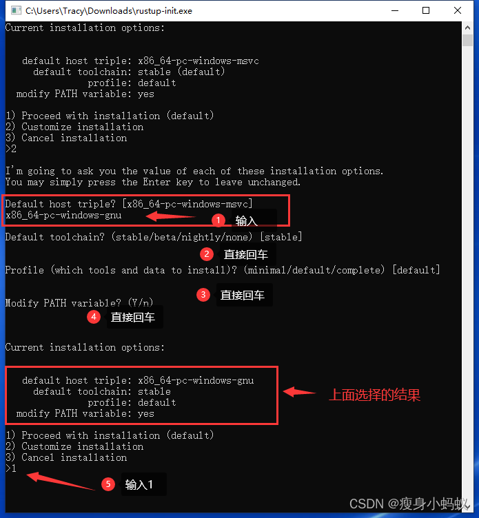 安装Rust（Windows 10 与 CentOS7） - 灰信网（软件开发博客聚合）