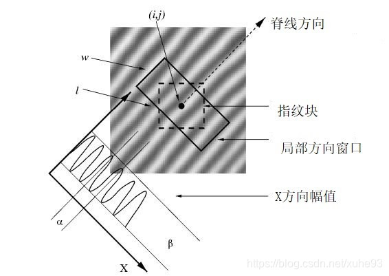 方向窗口和X幅值