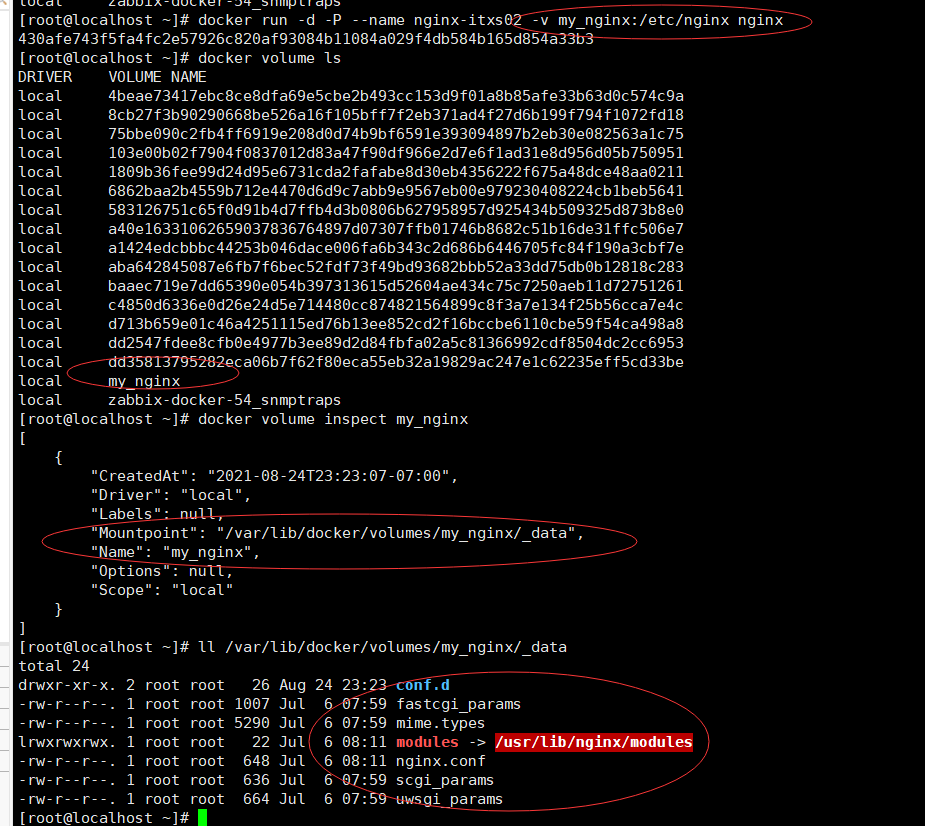 image-20210825142653178