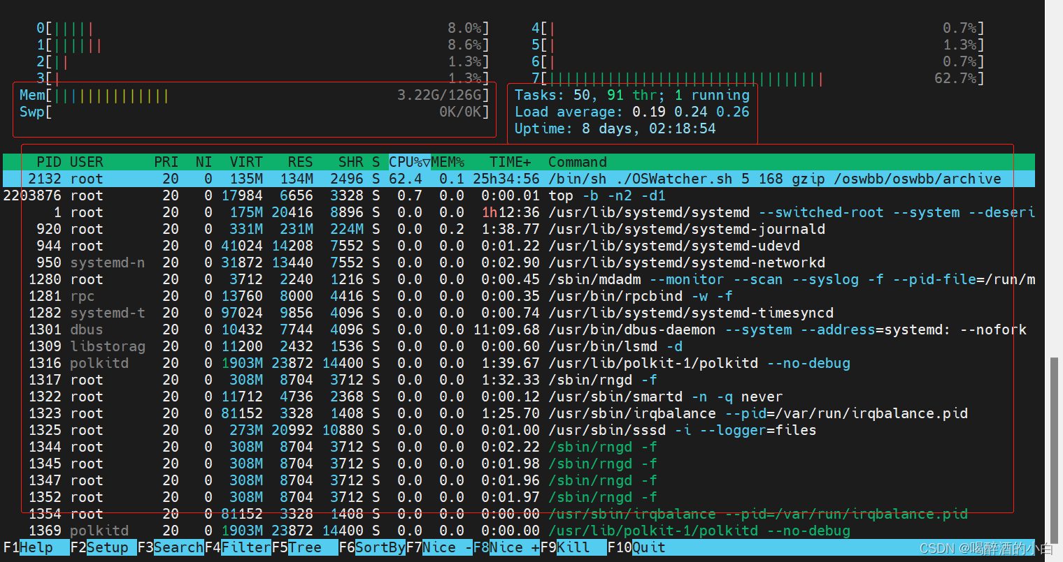 内存展示区示例