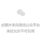 08111841_r5qQ.jpg