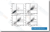 ca98215b44a29b75d91eec2386ec2db6.gif