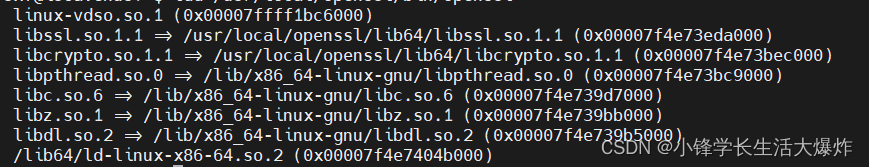 【踩坑】Openssl升级后，版本与Library版本不一致的问题_openssl安装后显示的还是旧版本-CSDN博客