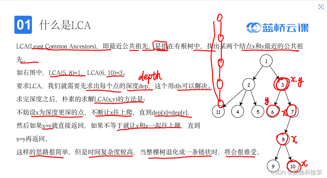 7.2.3 蓝桥杯基础数据结构之LCA_数据结构lca-CSDN博客