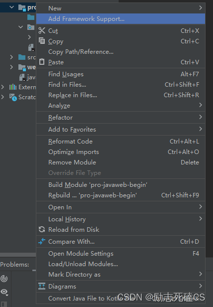 Add Framework Support