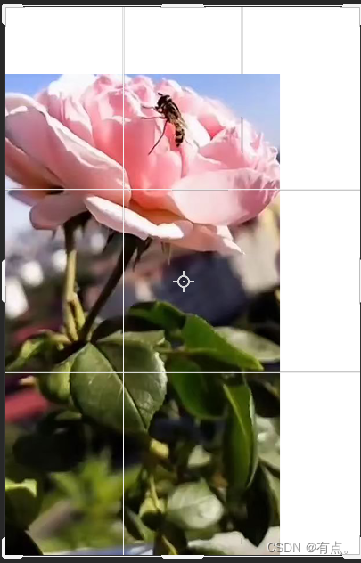 PS系统教程06-图片裁剪-详细版插图1 在这里插入图片描述