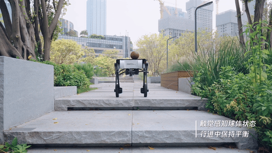 ad5fea95c98b842b53e2141258e1b23d.gif