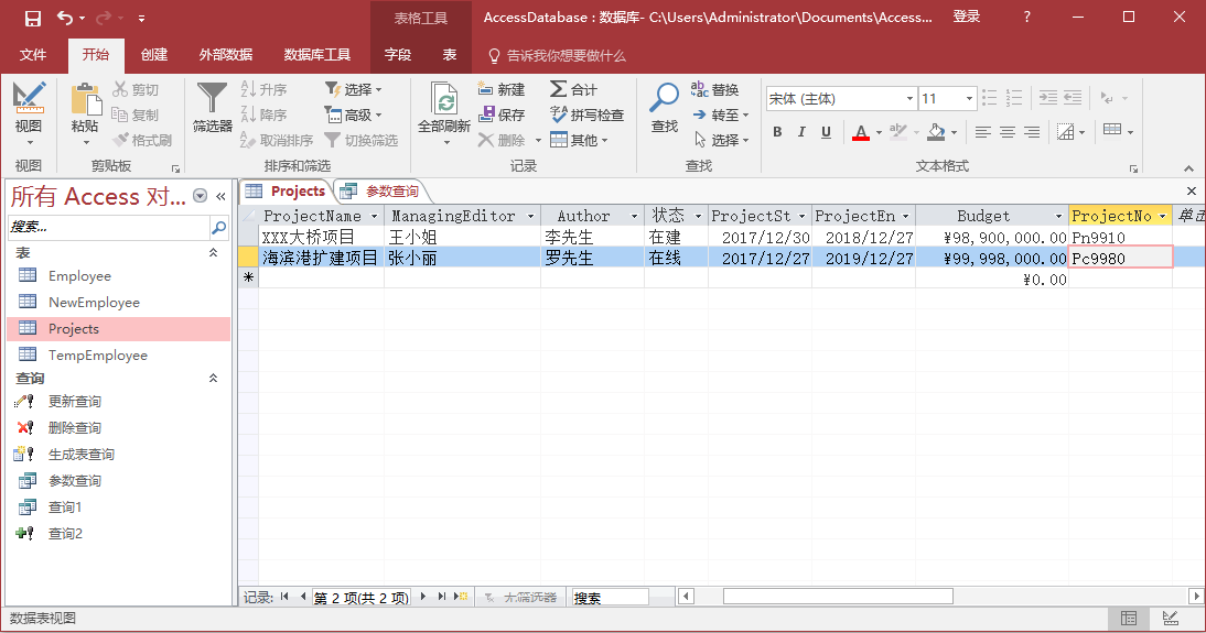 Access参数查询