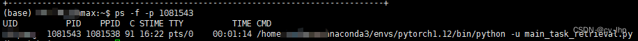 GPU