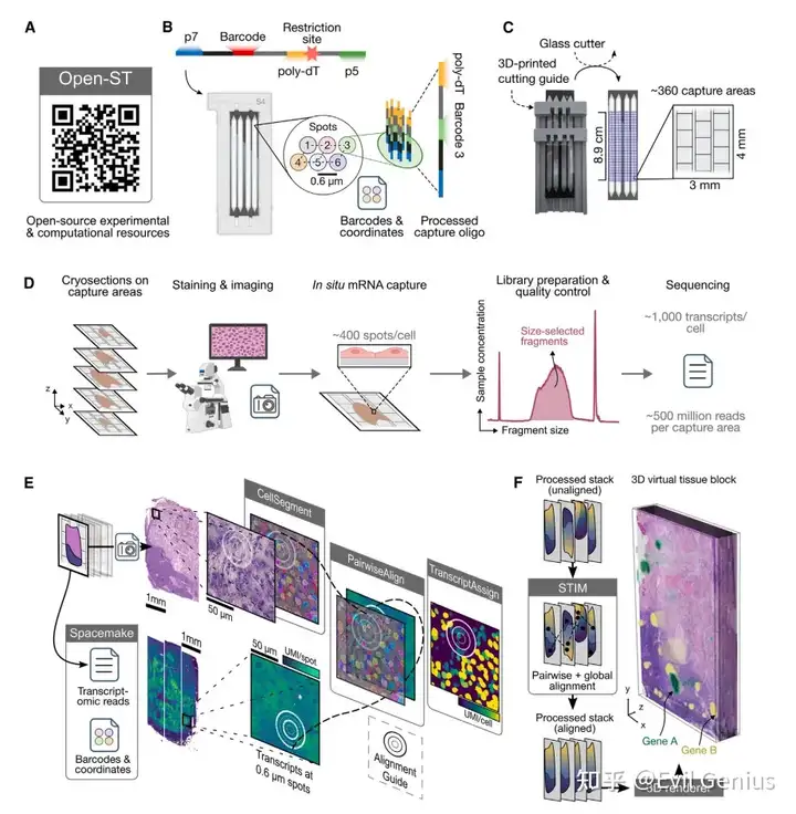 High Resolution Transcriptome 准备好迎接3D空间转录组了吗?-CSDN博客