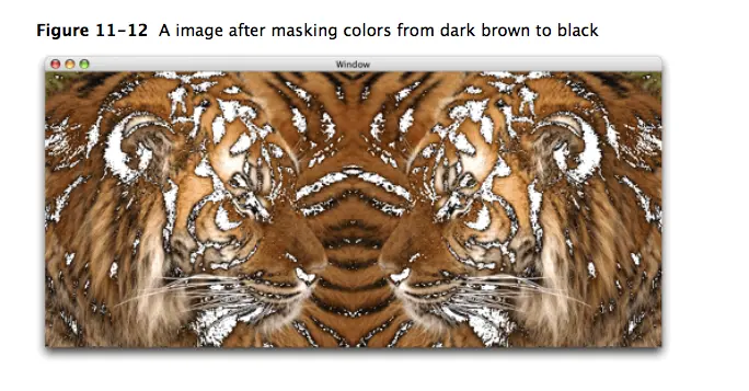 9052647-85b0f8fc6d6d9512.png