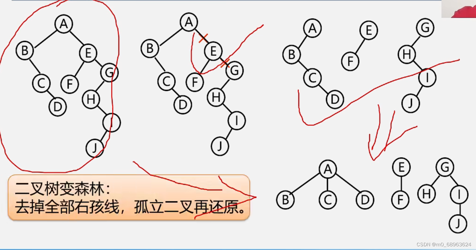 数据结构与算法——树和森林的c++实现_森林结构的题目一般会怎么处理c++-CSDN博客