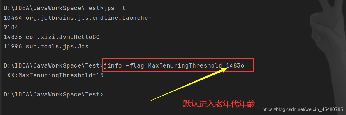 JVM基础知识—JVM常见的参数配置插图55 在这里插入图片描述