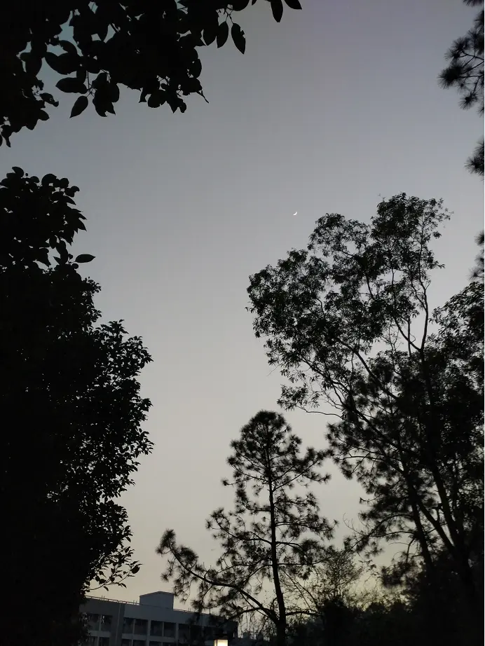 9125154-c8a7ddc46e2e6e87.png