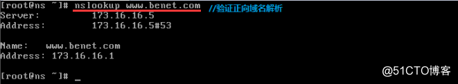 搭建主域名服务器
