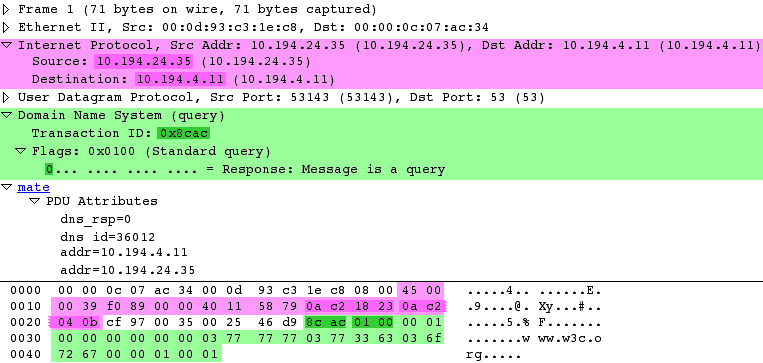 ws mate dns pane