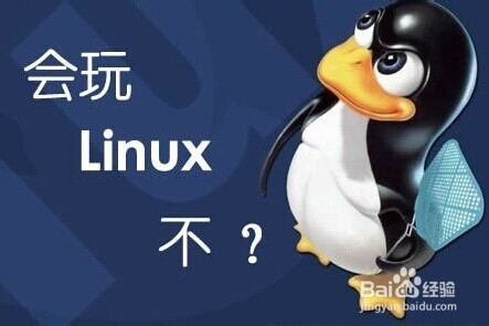 Linux Ubuntu怎么联网