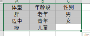 体型 年龄段 性别胖 老人 男适中 青年 女瘦 儿童