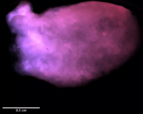 1c010db9e81543816d8ad45813171448.gif