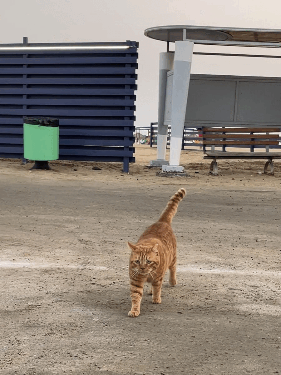 7279fdc4ef44b3362ebe926bc9be19ae.gif