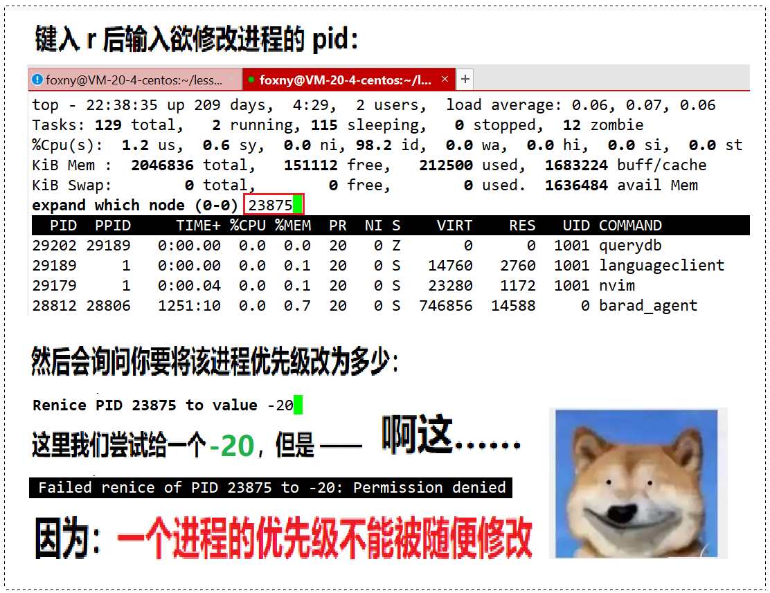 【看表情包学Linux】进程优先级 | 查看系统进程 | 优先级修改 | 进程的切换 | 竞争性与独立性 | 并行并发的概念 | 环境变量 ...