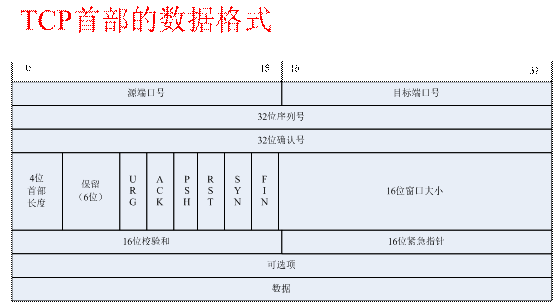 clip_p_w_picpath003