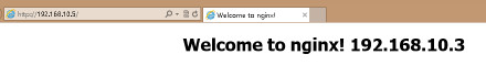 nginx+keepalived主备切换（不考虑主nginx停掉现象）
