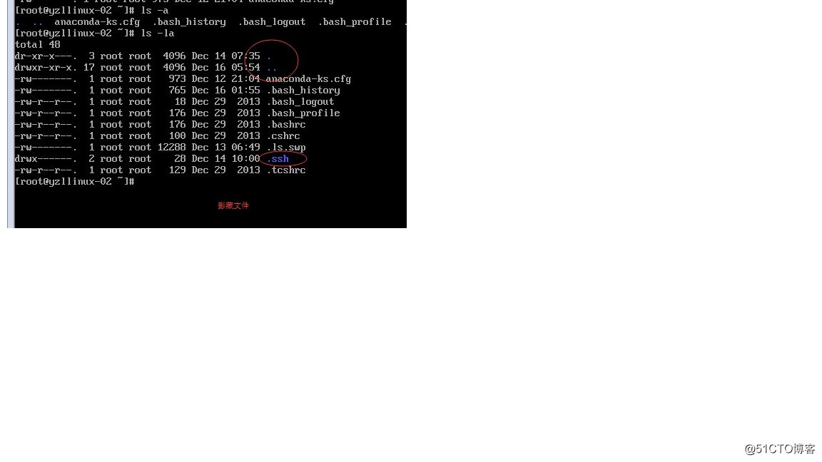 讨论Linux目录结构