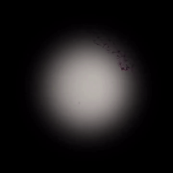 640?wx_fmt=gif