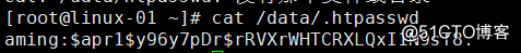 11.18 Apache用户认证11.19 11.20 域名跳转11.21 Apache访问日志