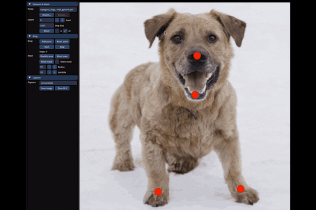 e0c83caadb253d15113237d950ab57a2.gif