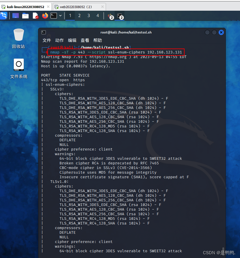 识别HTTPS加密参数_testssl-CSDN博客