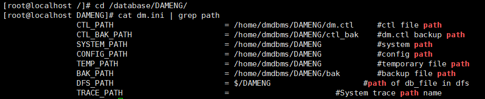 查看dm.ini文件中的路径