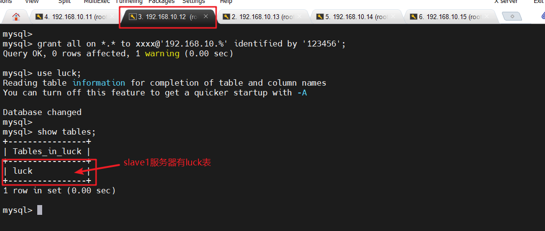 image-20240328184743885