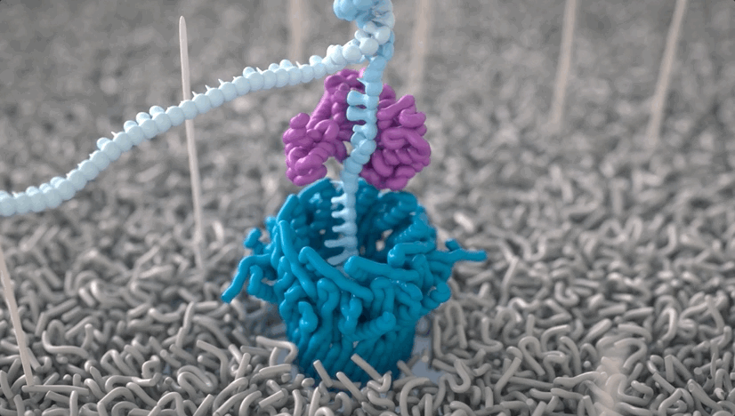 2f71e11a86e097928742cd107187e1a9.gif