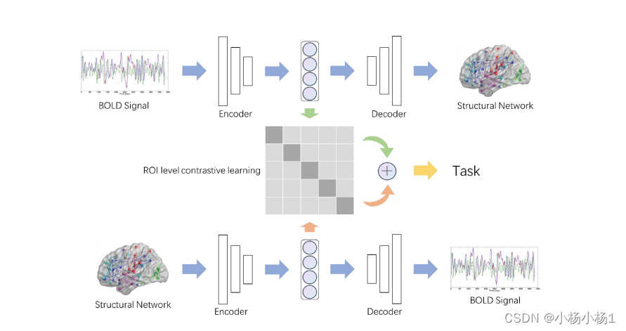 双向映射与对比学习在多模态神经影像数据上的应用_bidirectional mapping with contrastive learning ...