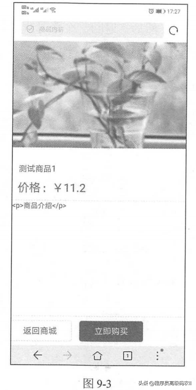 移动商城的分类查询设计、商品详情页设计、用户下单功能实现