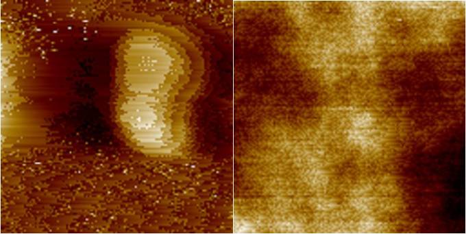 原子力显微镜（AFM）的使用和成像技巧_afm amplitude setpoint-CSDN博客