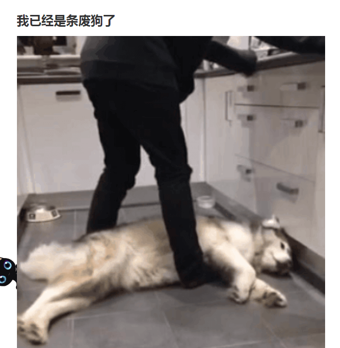 《【案例】FFMPEG GIF音乐搞笑视频自动生成 内含视频体验》
