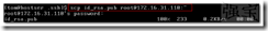 wps_clip_p_w_picpath-4994